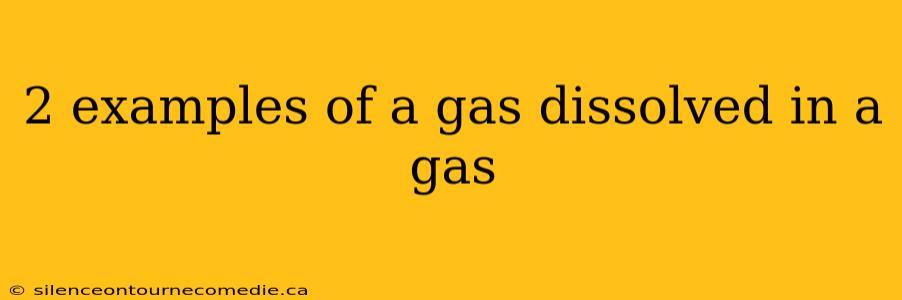 2 examples of a gas dissolved in a gas