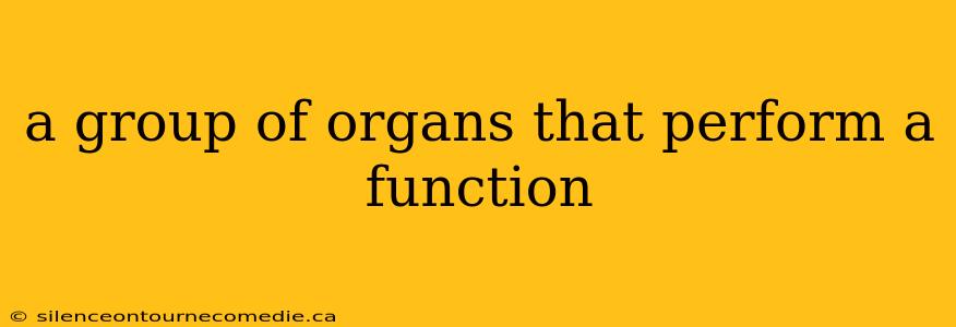 a group of organs that perform a function