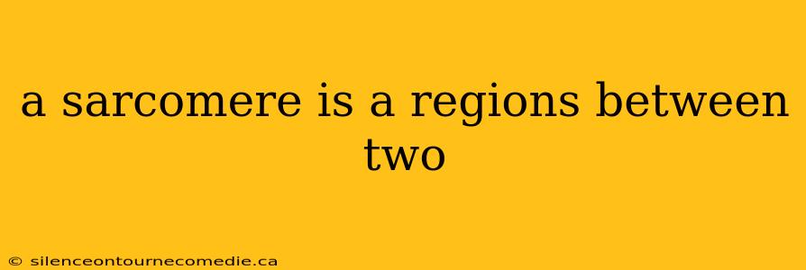 a sarcomere is a regions between two
