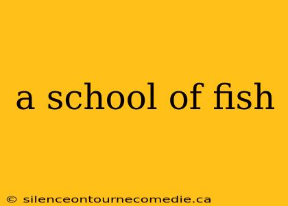 a school of fish