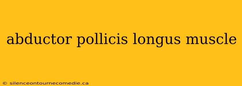 abductor pollicis longus muscle