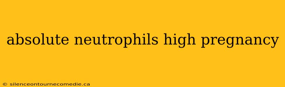 absolute neutrophils high pregnancy