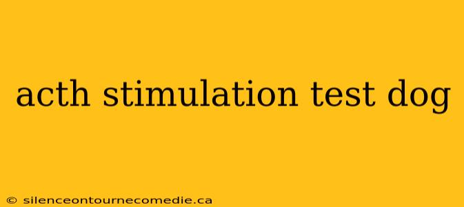 acth stimulation test dog