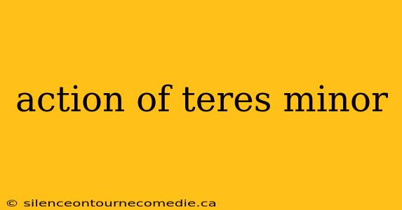 action of teres minor