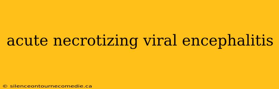 acute necrotizing viral encephalitis