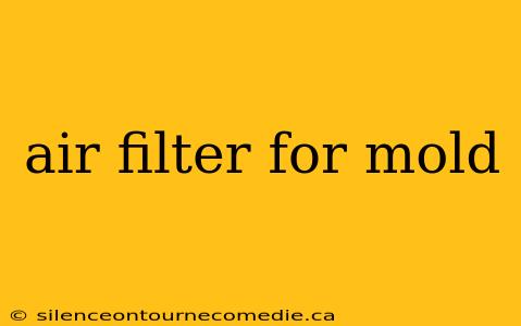 air filter for mold
