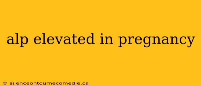 alp elevated in pregnancy