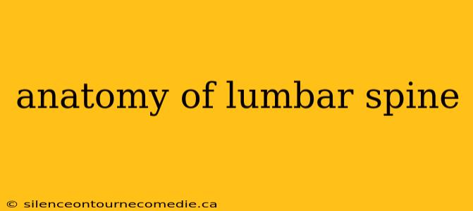 anatomy of lumbar spine