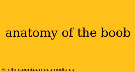 anatomy of the boob