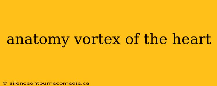 anatomy vortex of the heart