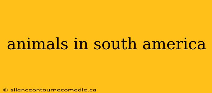 animals in south america