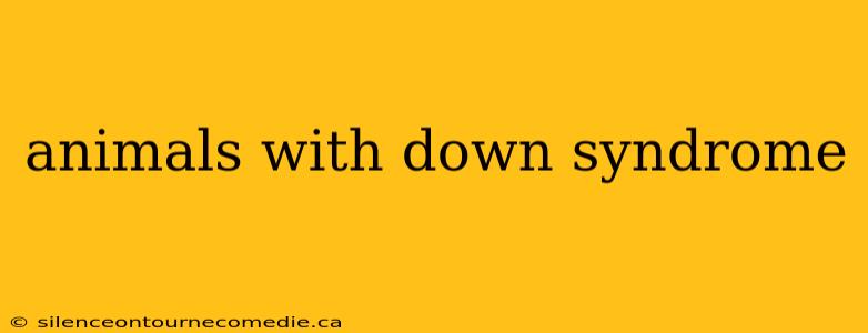 animals with down syndrome