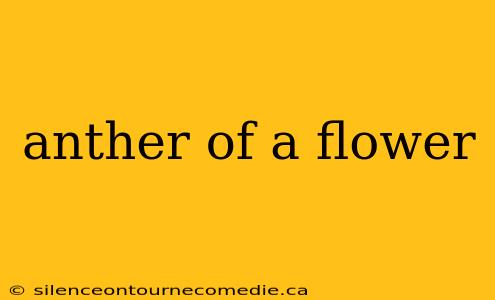 anther of a flower
