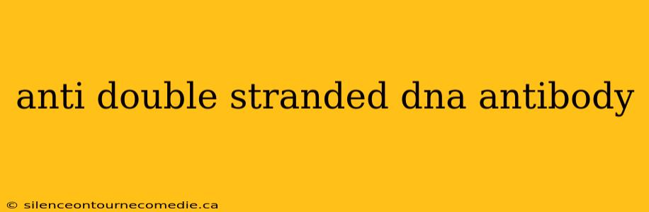 anti double stranded dna antibody