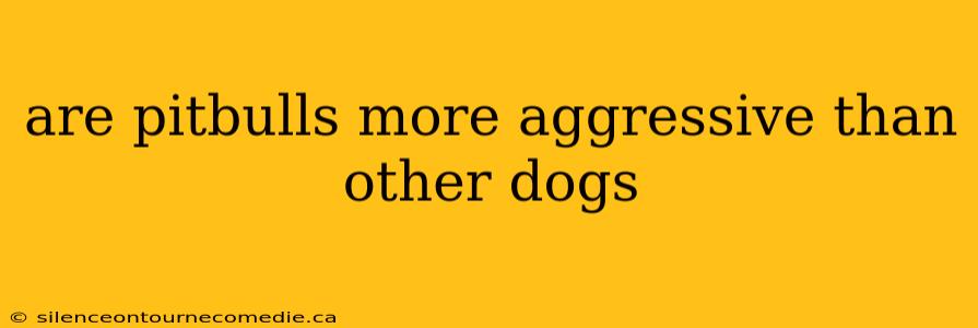 are pitbulls more aggressive than other dogs