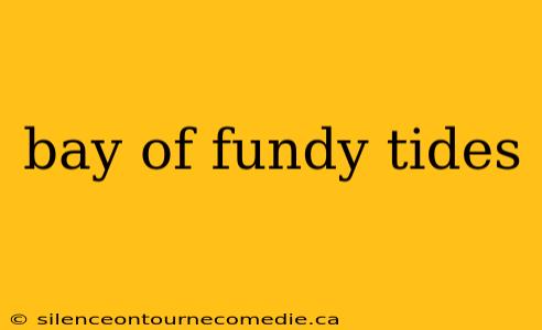 bay of fundy tides