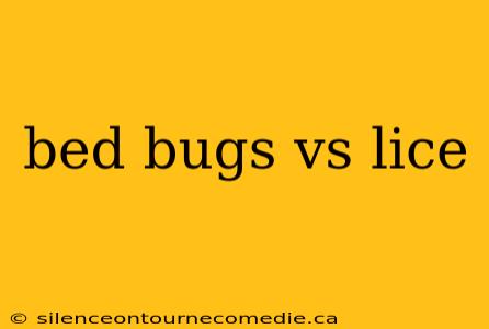bed bugs vs lice
