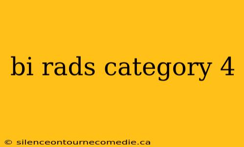 bi rads category 4
