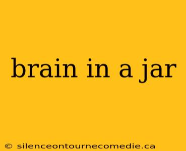 brain in a jar