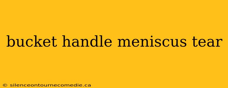 bucket handle meniscus tear