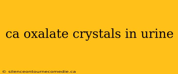 ca oxalate crystals in urine