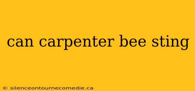 can carpenter bee sting