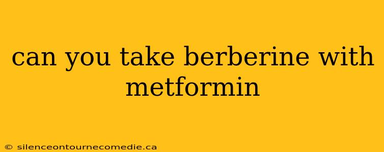 can you take berberine with metformin
