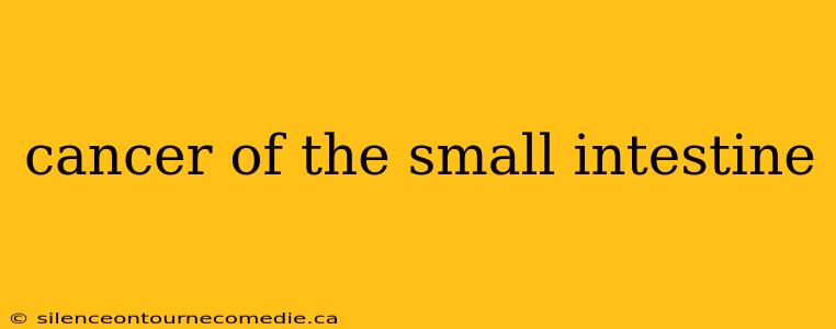 cancer of the small intestine