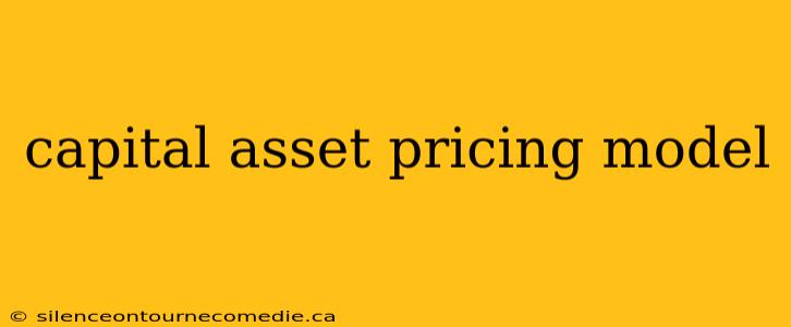capital asset pricing model