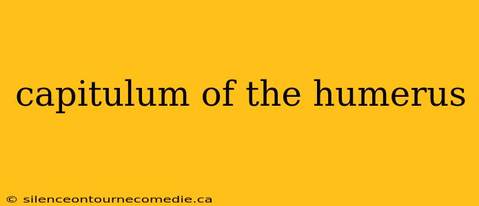 capitulum of the humerus