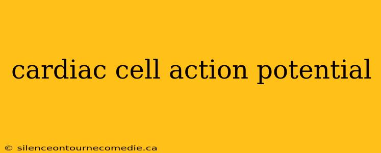 cardiac cell action potential