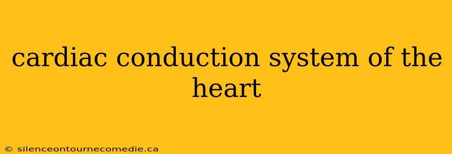 cardiac conduction system of the heart