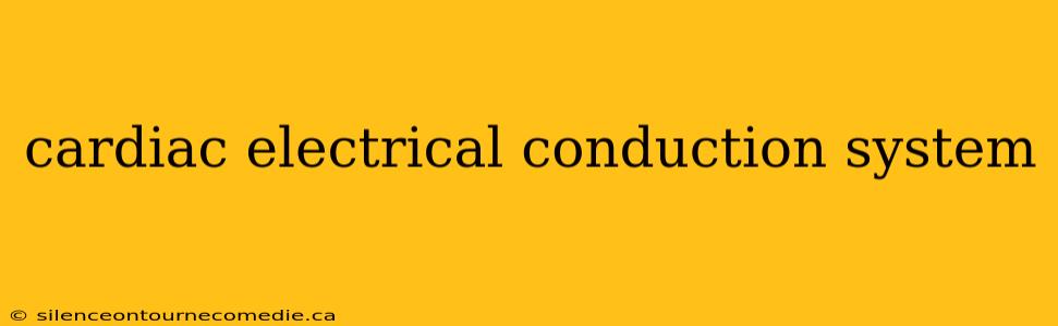 cardiac electrical conduction system
