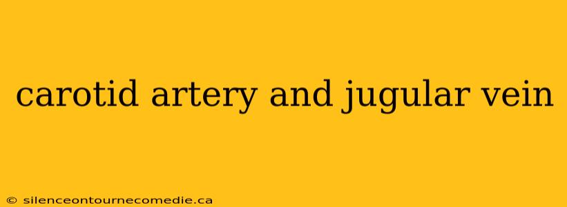 carotid artery and jugular vein