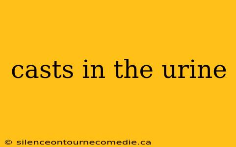 casts in the urine