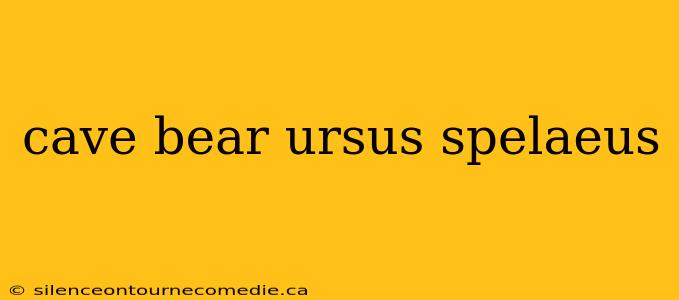 cave bear ursus spelaeus