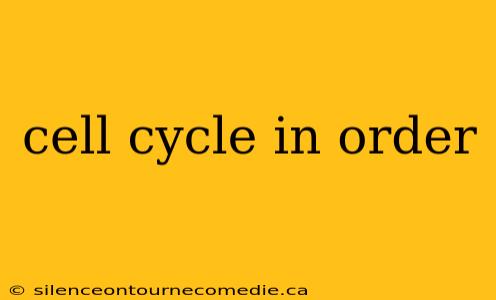 cell cycle in order