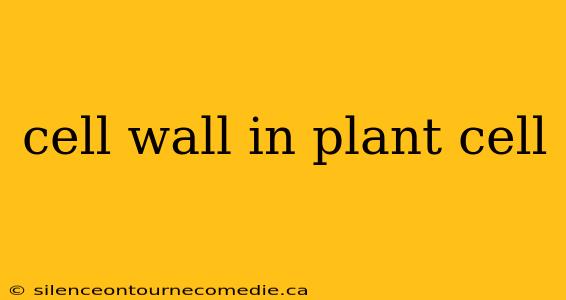 cell wall in plant cell