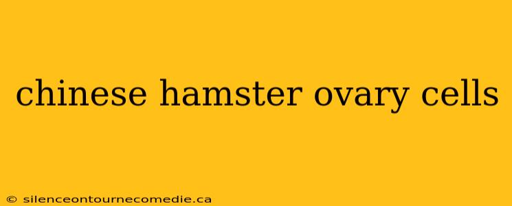 chinese hamster ovary cells