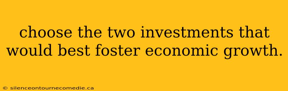 choose the two investments that would best foster economic growth.