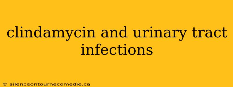 clindamycin and urinary tract infections