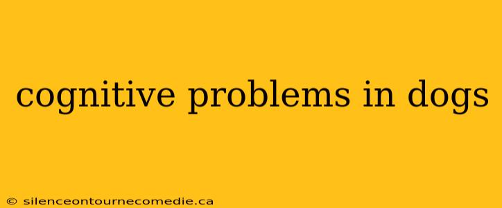 cognitive problems in dogs