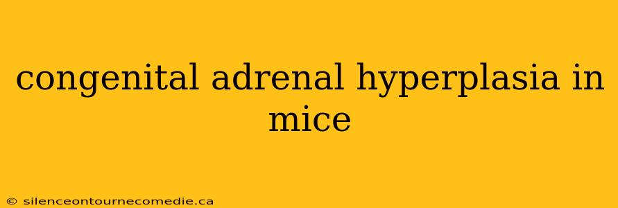 congenital adrenal hyperplasia in mice