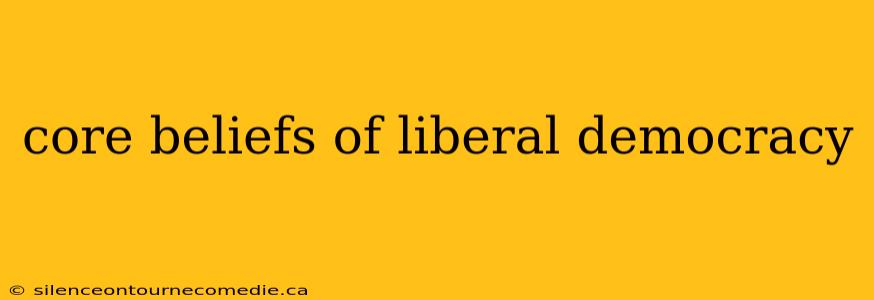 core beliefs of liberal democracy