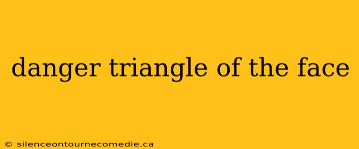 danger triangle of the face