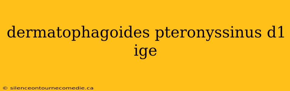 dermatophagoides pteronyssinus d1 ige