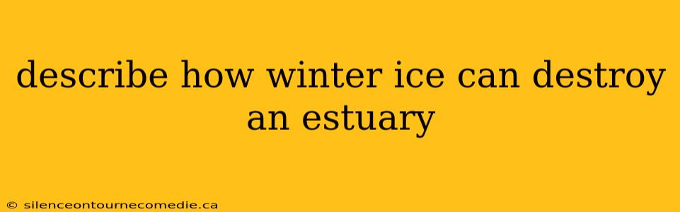 describe how winter ice can destroy an estuary