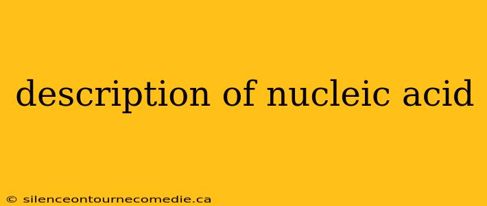 description of nucleic acid