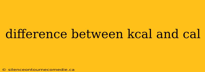 difference between kcal and cal