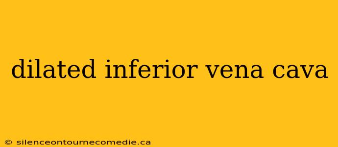 dilated inferior vena cava